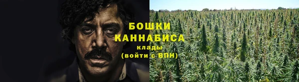 прущая мука Санкт-Петербург
