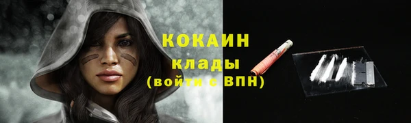 прущая мука Санкт-Петербург