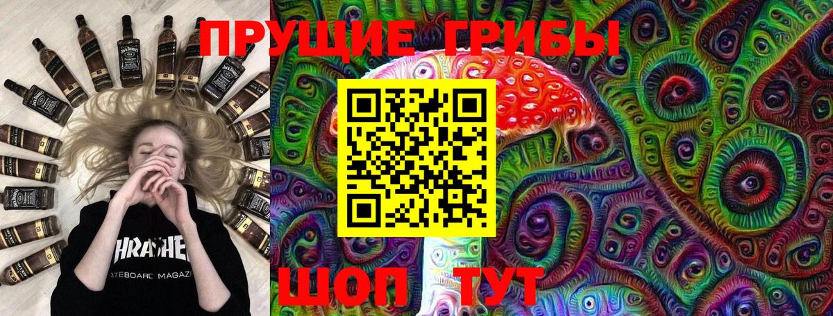 Галлюциногенные грибы Cubensis Россия