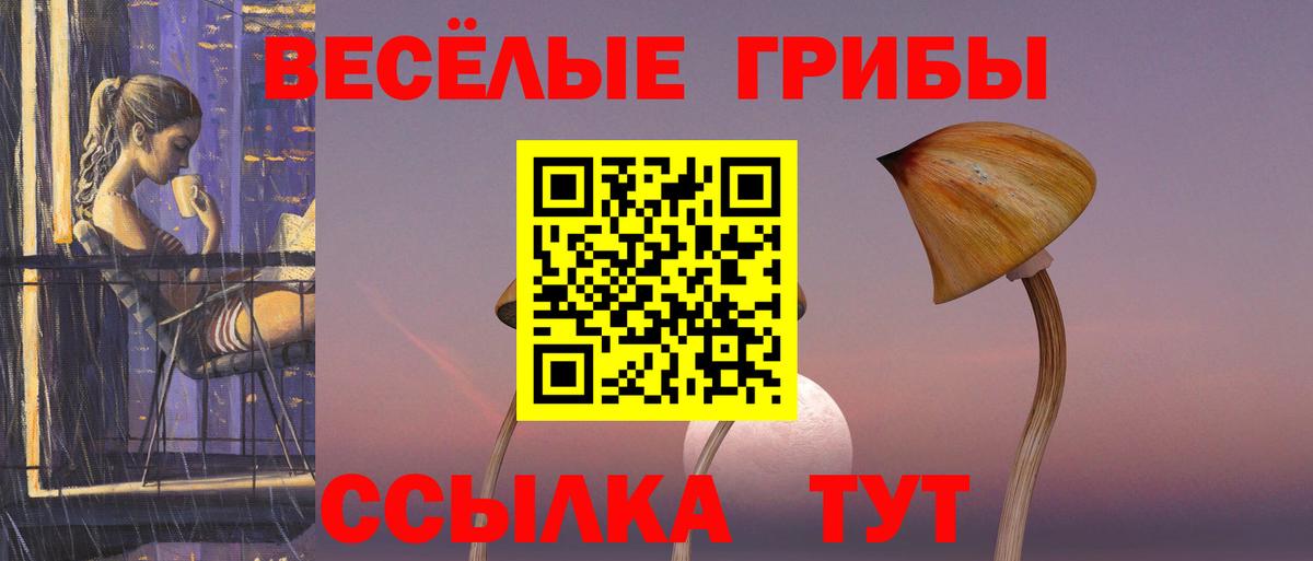 Галлюциногенные грибы MAGIC MUSHROOMS  Вход с VPN  Россия 